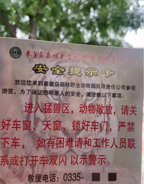 惊险!野生动物园内,两车剐蹭,车主下车沟通老虎一旁围观