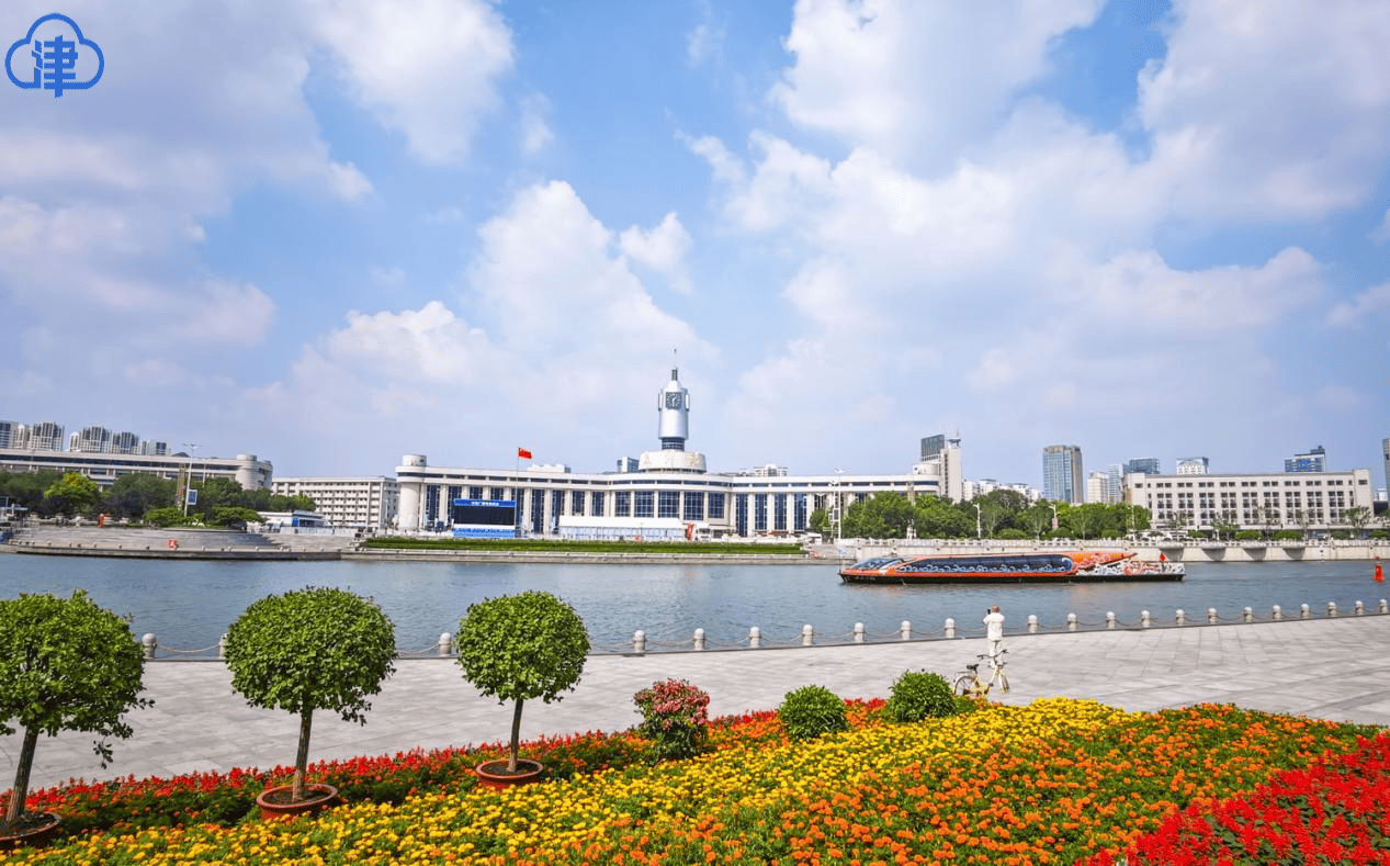 【津云镜头】共筑上合梦 同享“上合蓝”