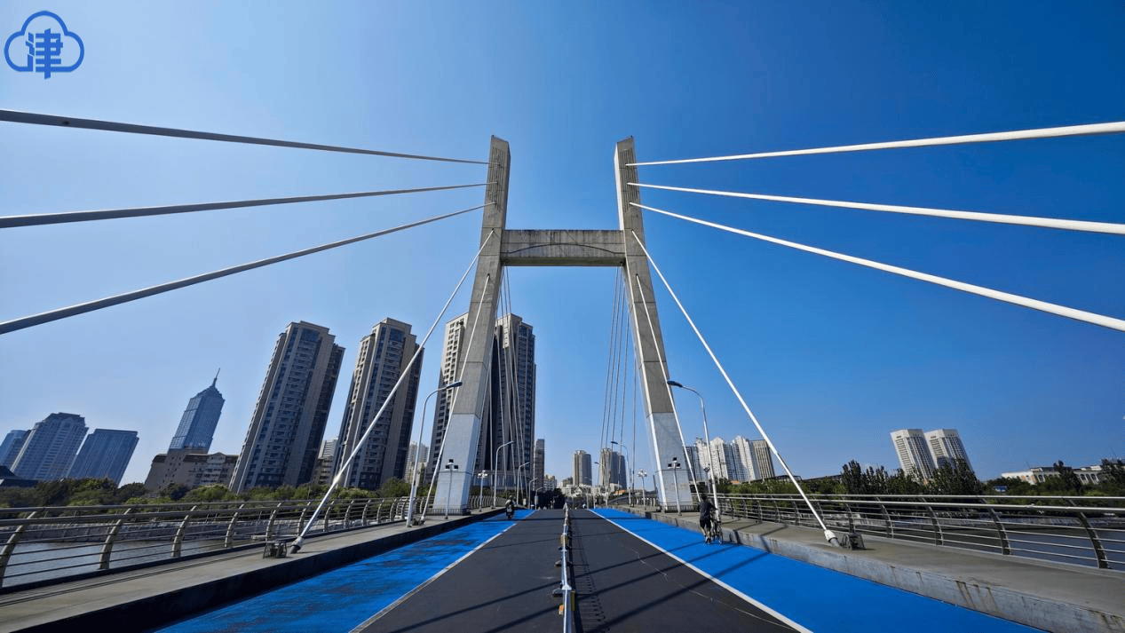 【津云镜头】共筑上合梦 同享“上合蓝”