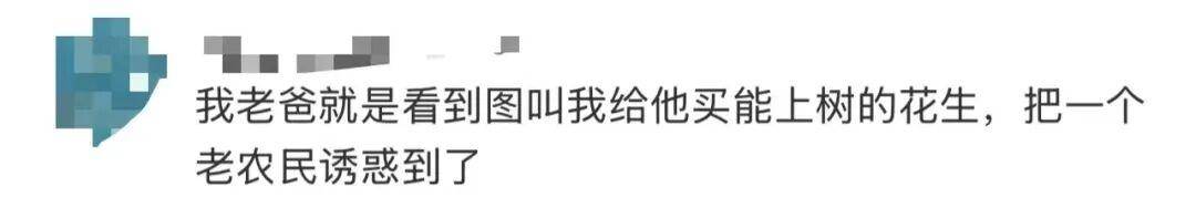 “花生上树”闹剧：AI翻车背后，我们都在弄丢常识？