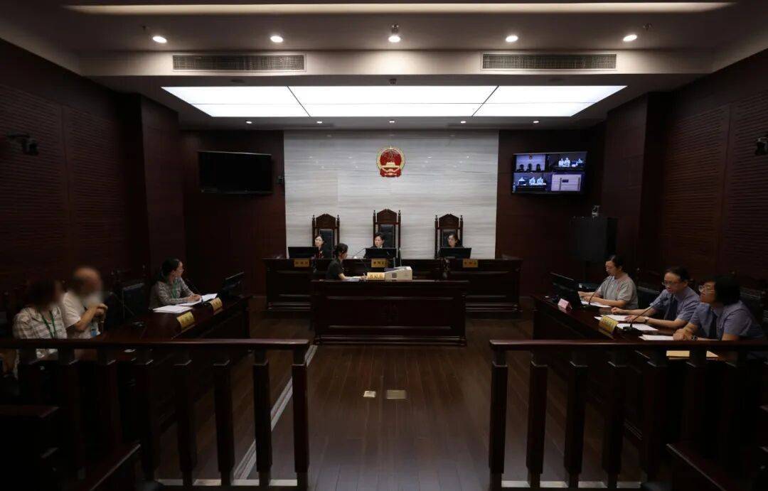 母亲病逝，生父不明，留下一双女儿谁来监护？八旬外祖父诉至法院：我来！