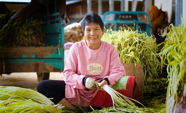 弥勒“新哨经验”,全州推广!
