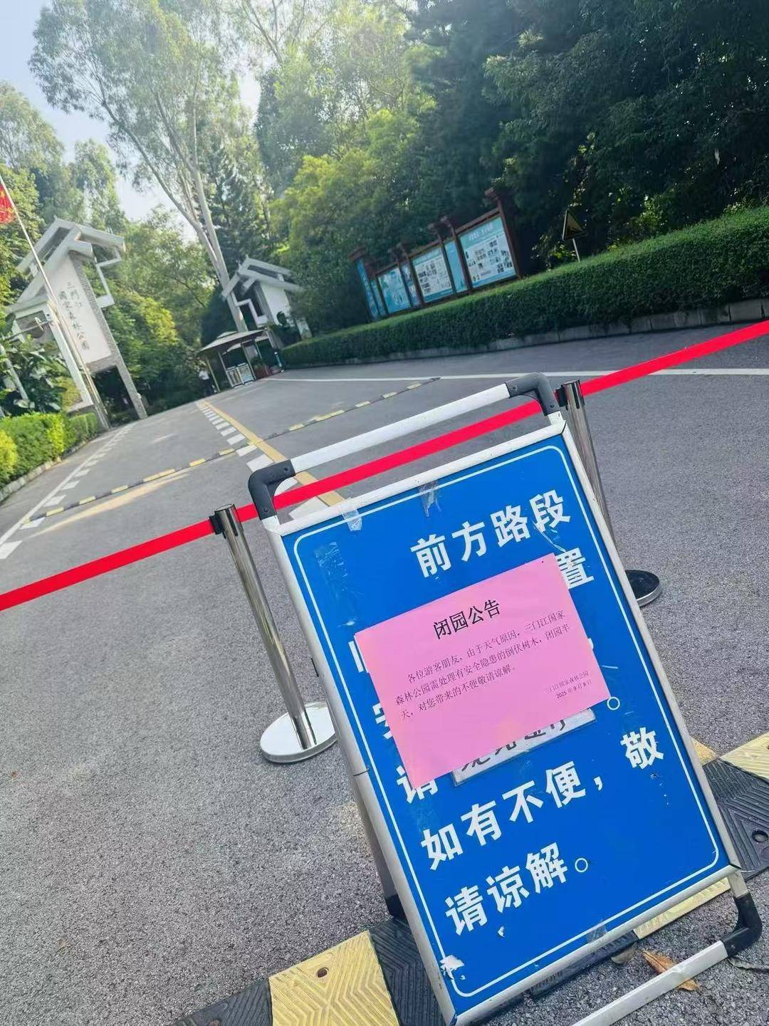 广西柳州三门江公园回应“游客被雷电击伤”：雷击凉亭后树枝砸伤游客，治疗后已回家