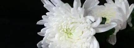 乌军士兵乔装成俄军,与俄士兵寒暄,随后趁其不备将两名俄军枪杀,无人机拍下全过程