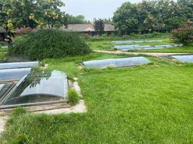 游客称殷墟博物馆人祭坑被填埋，博物馆回应：坑内陈列物系复制品，因整修暂时填埋