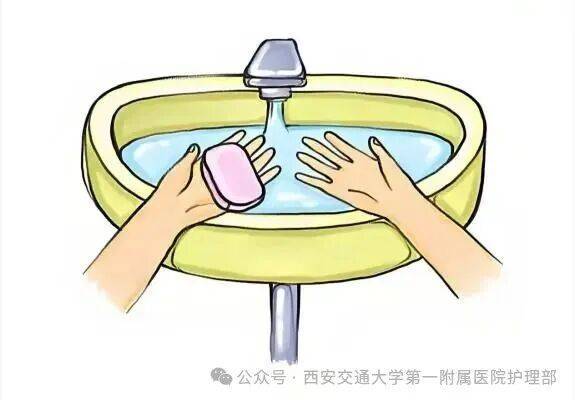 西安多区发现隐翅虫？千万别拍！毒液堪比硫酸