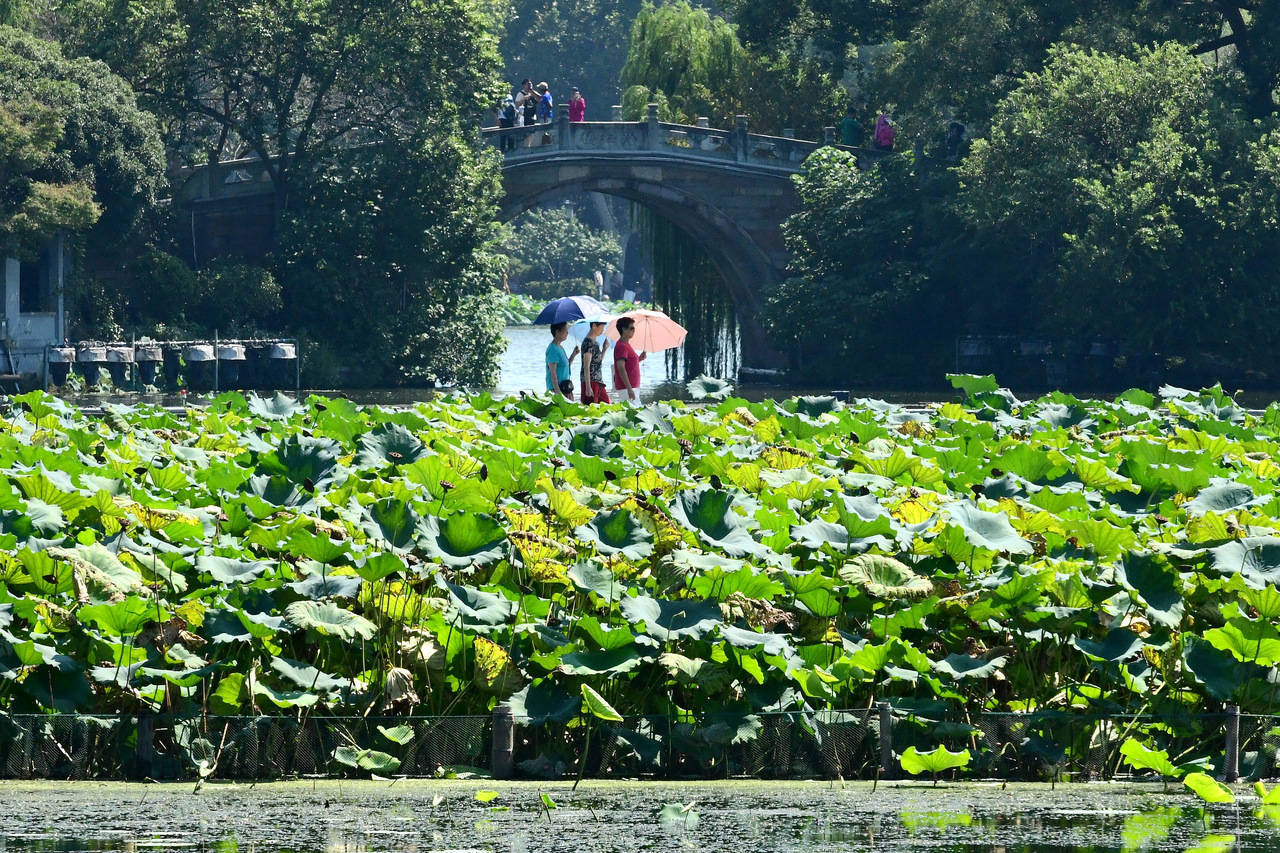 “三台共舞”对浙江有何影响？周末又有冷空气，气温舒适