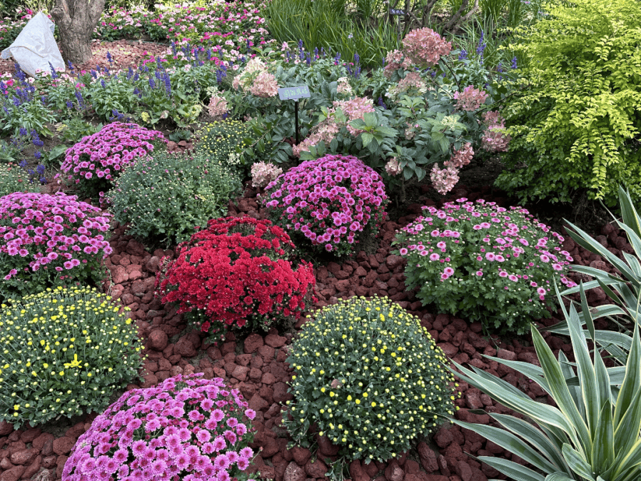 本周六将迎阵雨；北京最大山姆会员店即将开业；北京最大公园来啦丨朝闻北京