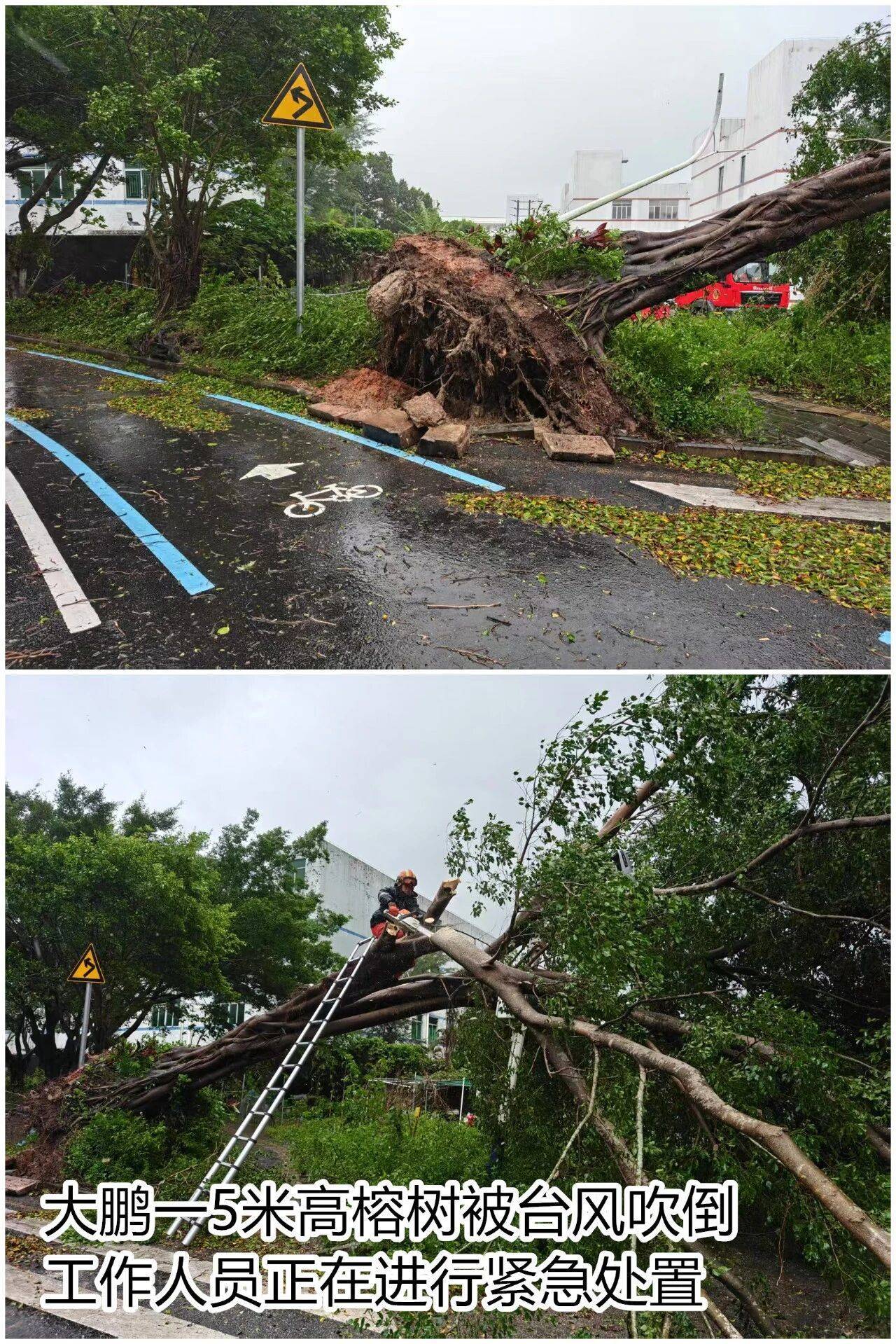 台风夜，深圳有人溺水！紧急！“桦加沙”过境，这些画面泪目