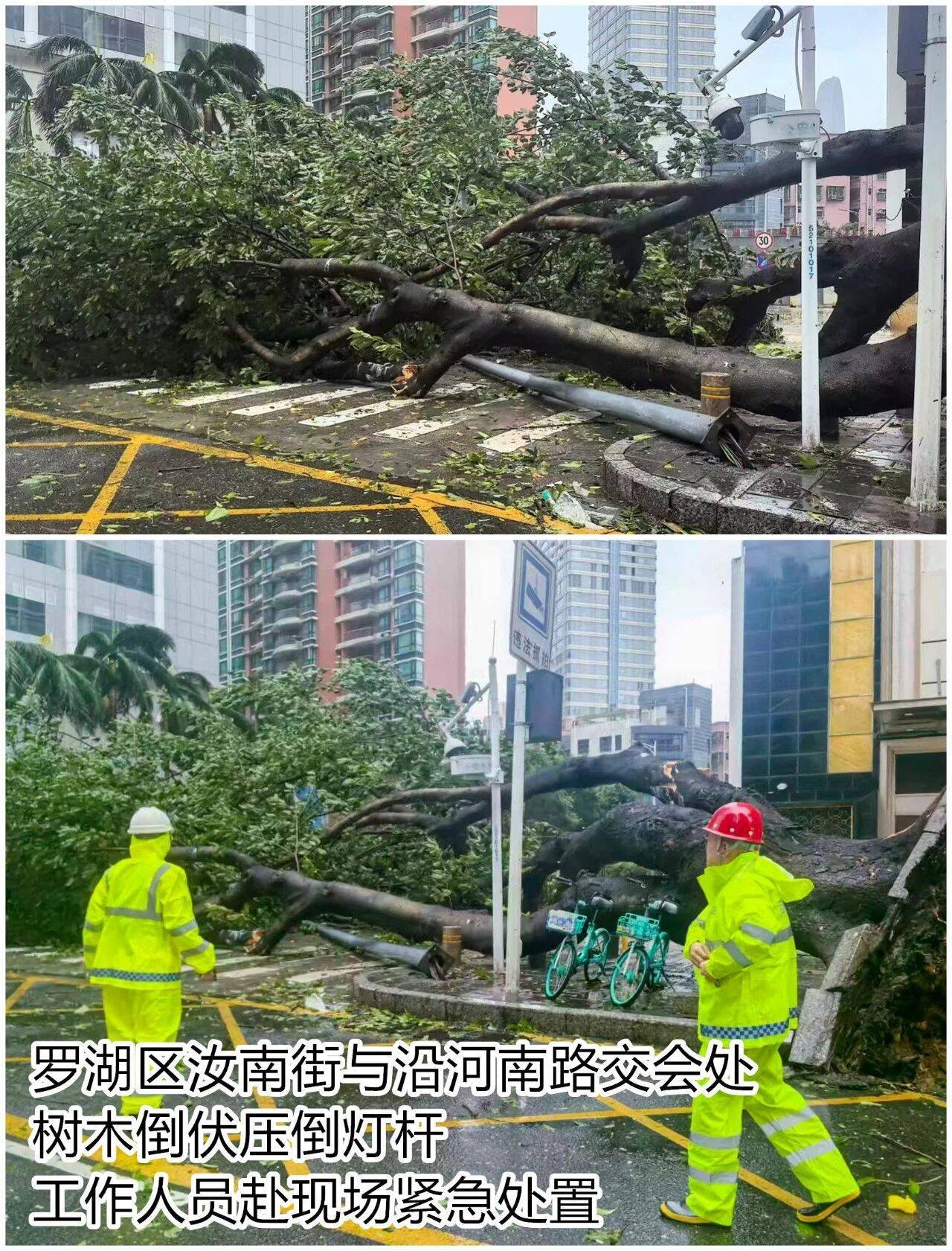 台风夜，深圳有人溺水！紧急！“桦加沙”过境，这些画面泪目