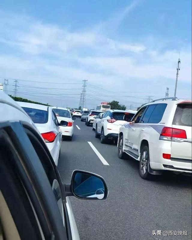 “聪明的人已经提前出发了”，结果高速上全是聪明人！