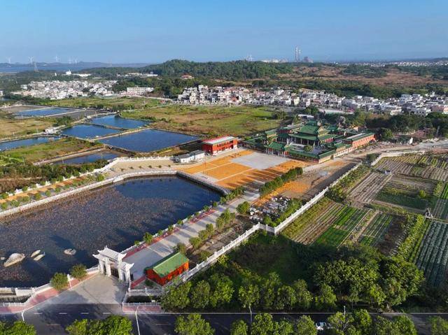 这个经济大省，为何多地镇街撤并？