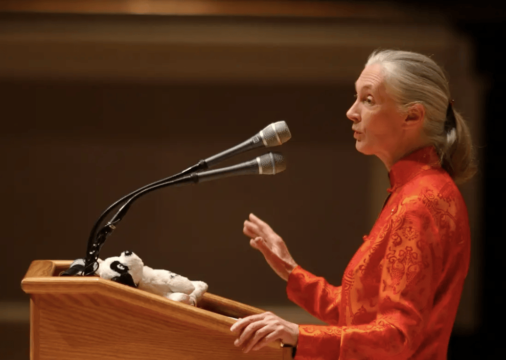 91岁传奇女科学家去世：没学士学位的剑桥博士，科学发现颠覆人类认知，每年300天全球演讲