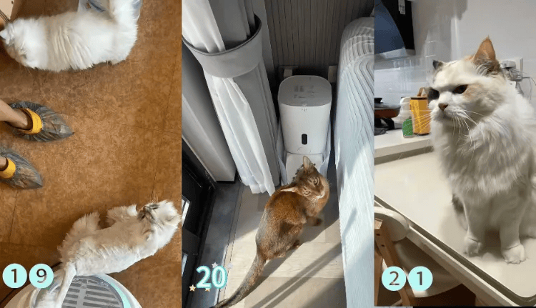 这个需求激增!一男子连接270单,其中一笔收费8100元