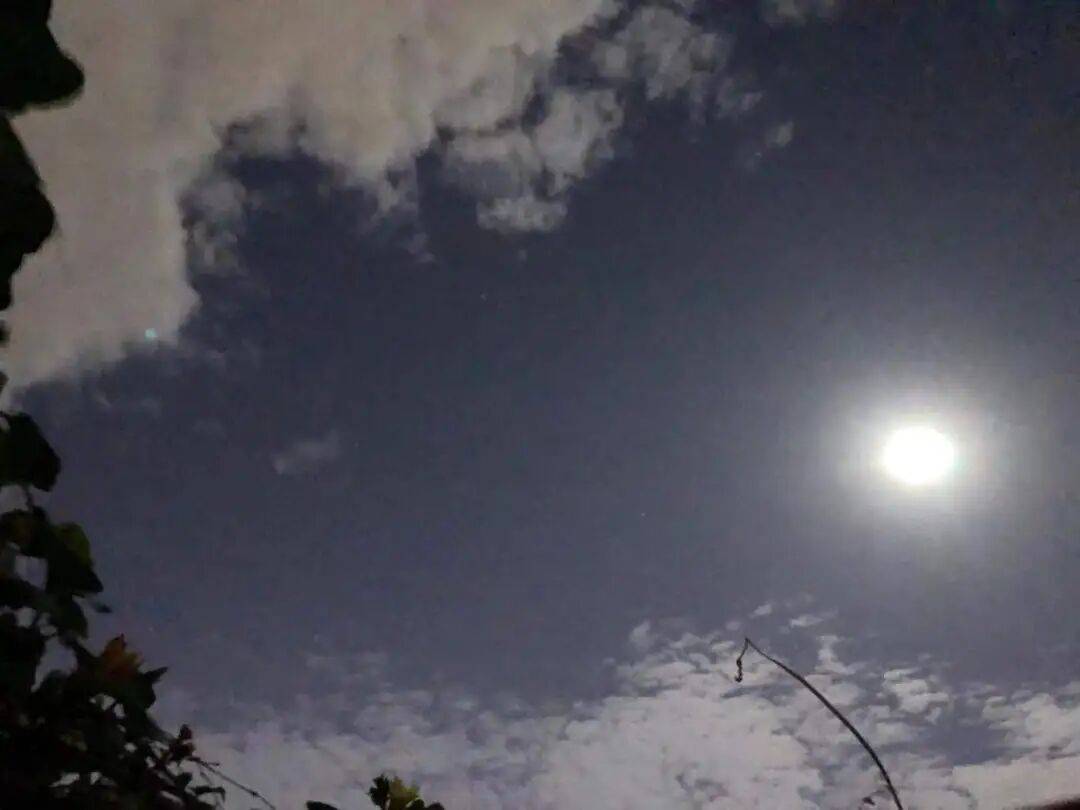 没有什么能阻挡！今天，广西人就是要回家！