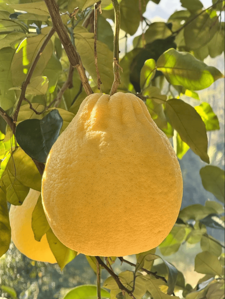 没有什么能阻挡！今天，广西人就是要回家！