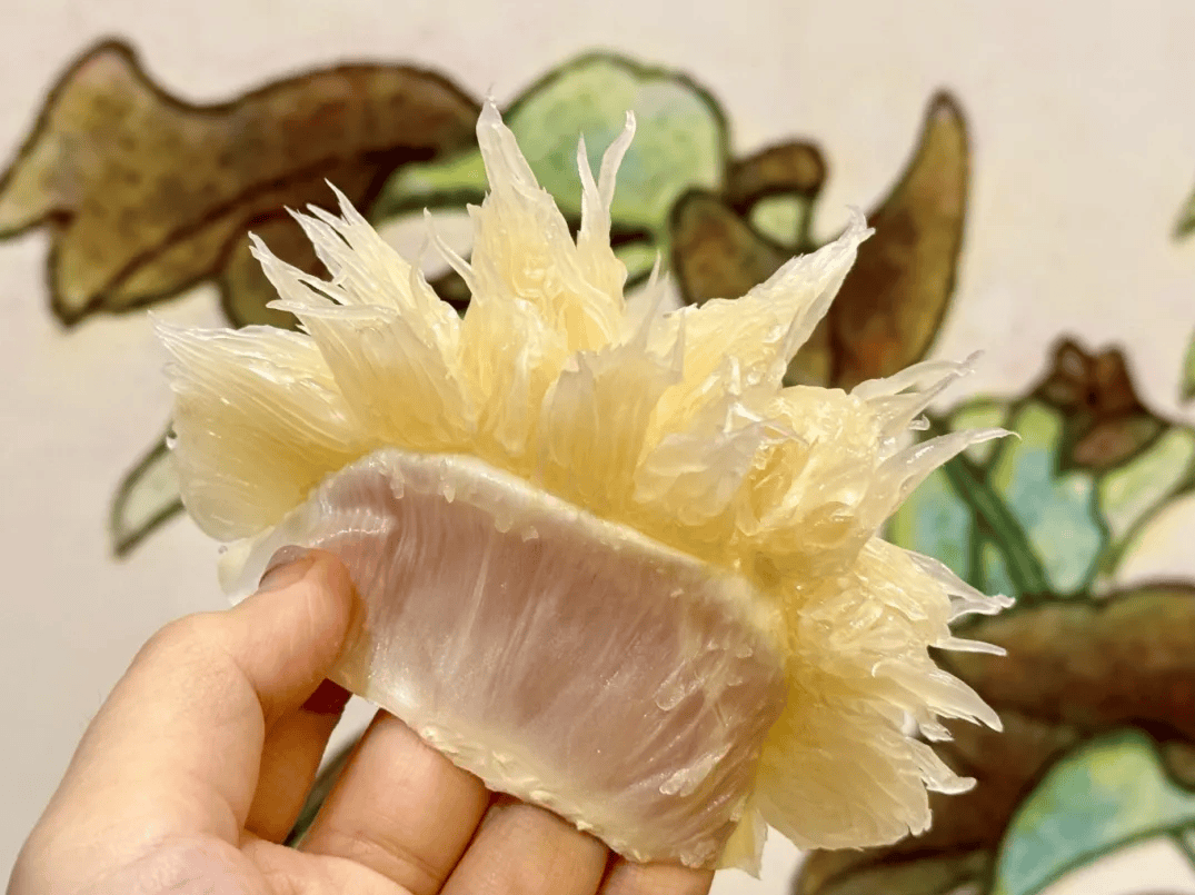 没有什么能阻挡！今天，广西人就是要回家！