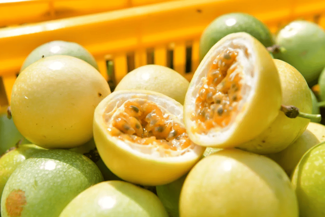 没有什么能阻挡！今天，广西人就是要回家！