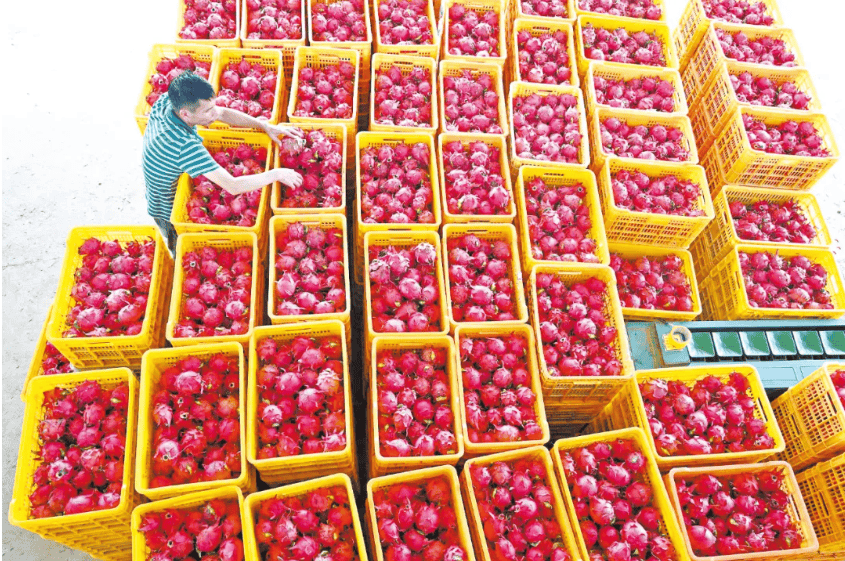 没有什么能阻挡！今天，广西人就是要回家！