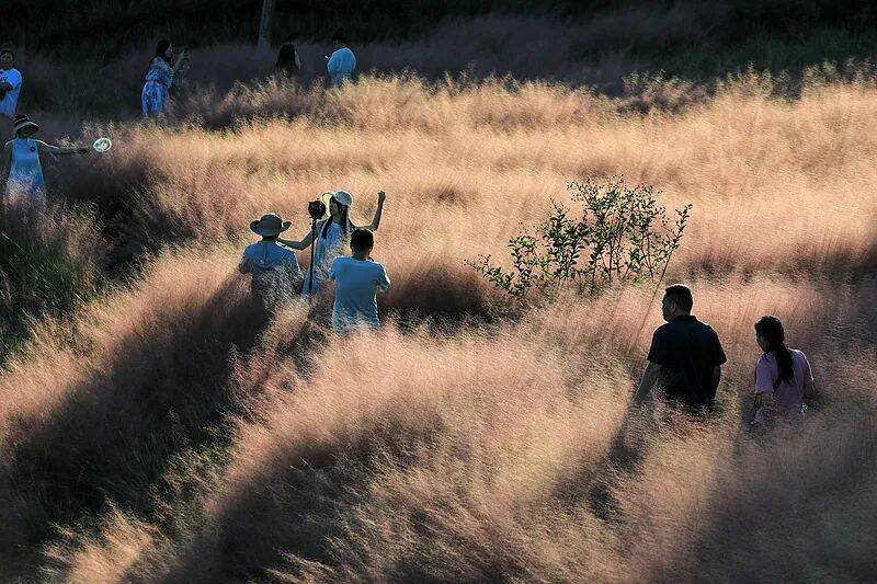 打卡拍照,再美也不能用生命对焦