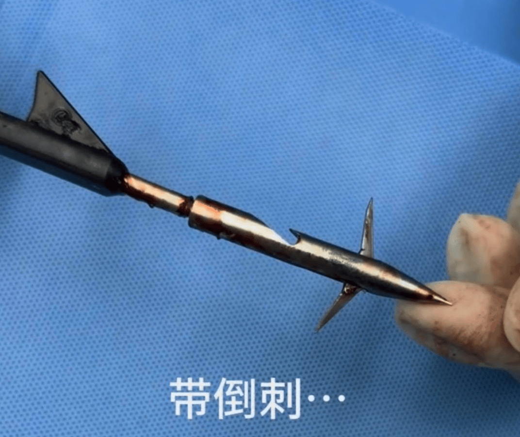 教育局回应“一教师用弓箭射杀小狗”：不实，小狗进学校前就被射伤