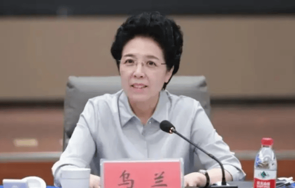 打"虎"！乌兰，任上被查