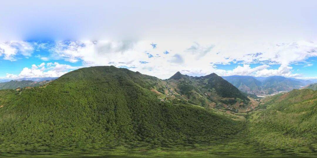 93岁老人进山失联，两天后发现他倒挂在树杈上苦撑……