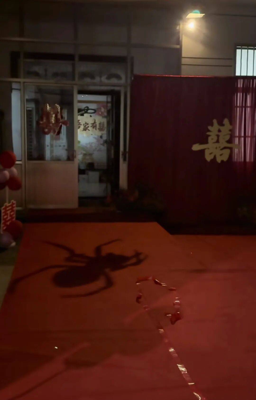 山东一新娘家凌晨出现巨大蜘蛛的倒影,拍摄者:蜘蛛爬在灯泡上,网友:这才是喜结连理