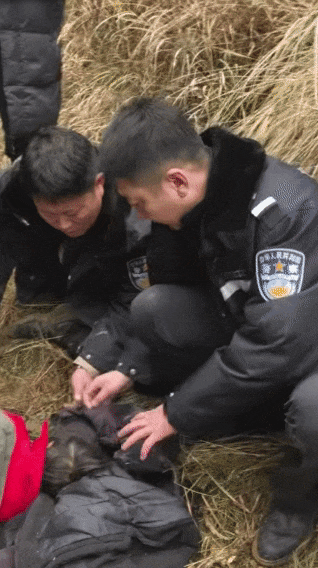 辽宁4岁女童称睡醒后自行下车,迷路后睡在草地,期间无人接触;其母发声