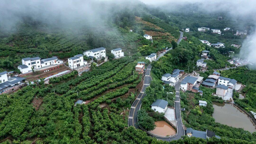 第三批“巴蜀美丽庭院示范片”项目,全部完工!