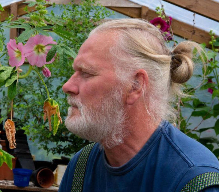 两只雌蚊和一只雄蚊被发现，全球最后一个无蚊国冰岛“沦陷”