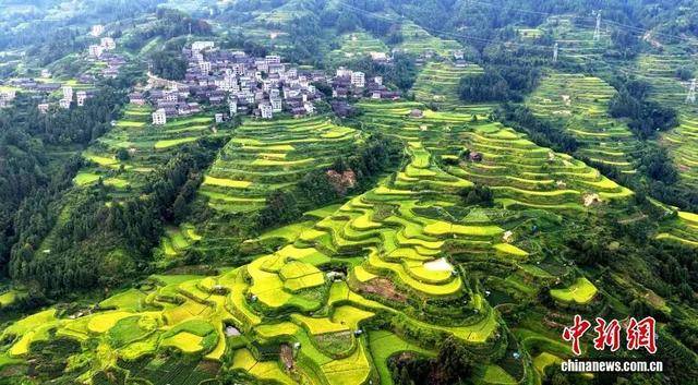 金秋，广西的梯田一点不输！