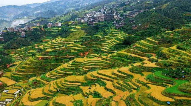 金秋，广西的梯田一点不输！
