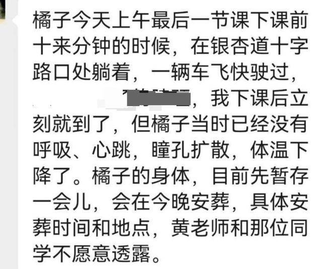 《红舞鞋》剧组在高校拍摄时撞死流浪猫，剧组凌晨致歉：涉事司机引咎辞职，将以小猫名字成立基金