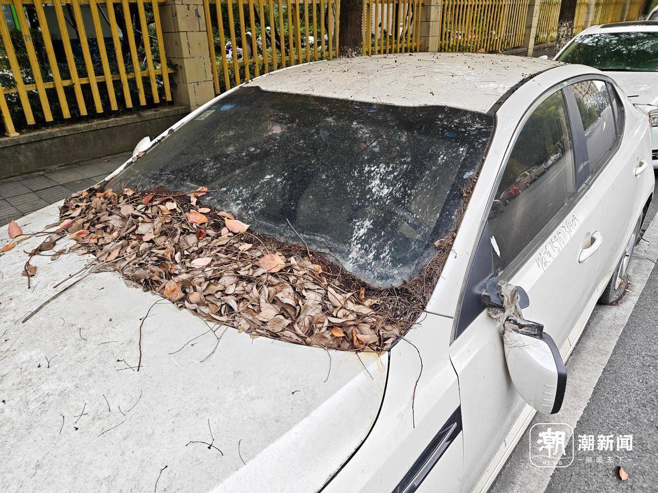 近三成疑似“僵尸车”,杭州这里的路边免费车位缘何成“停车场”