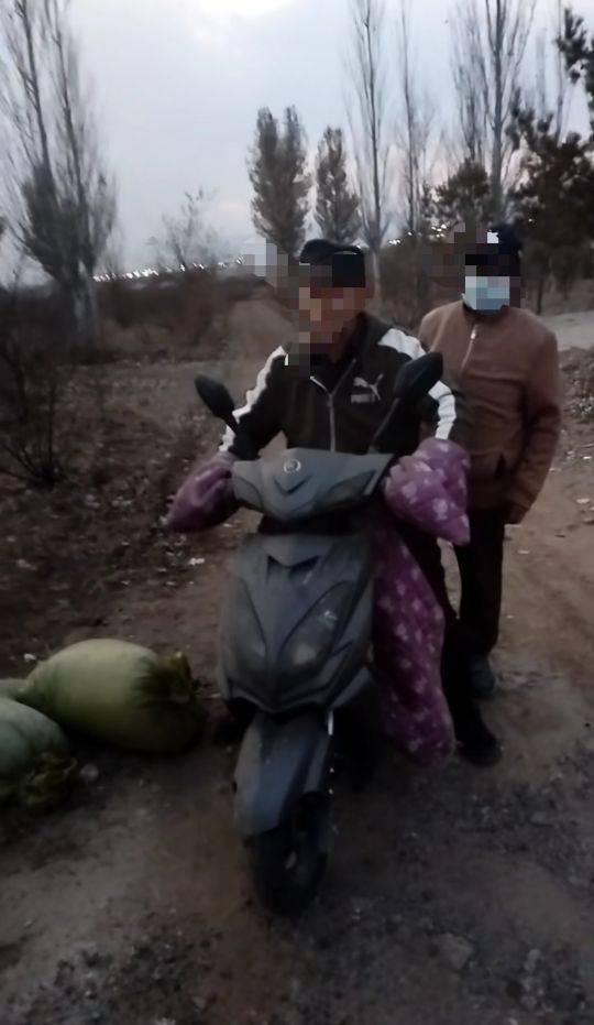 呼和浩特百亩向日葵被70多人哄抢？街道办：疑似缺少值守，被零星采摘发展到群体采摘