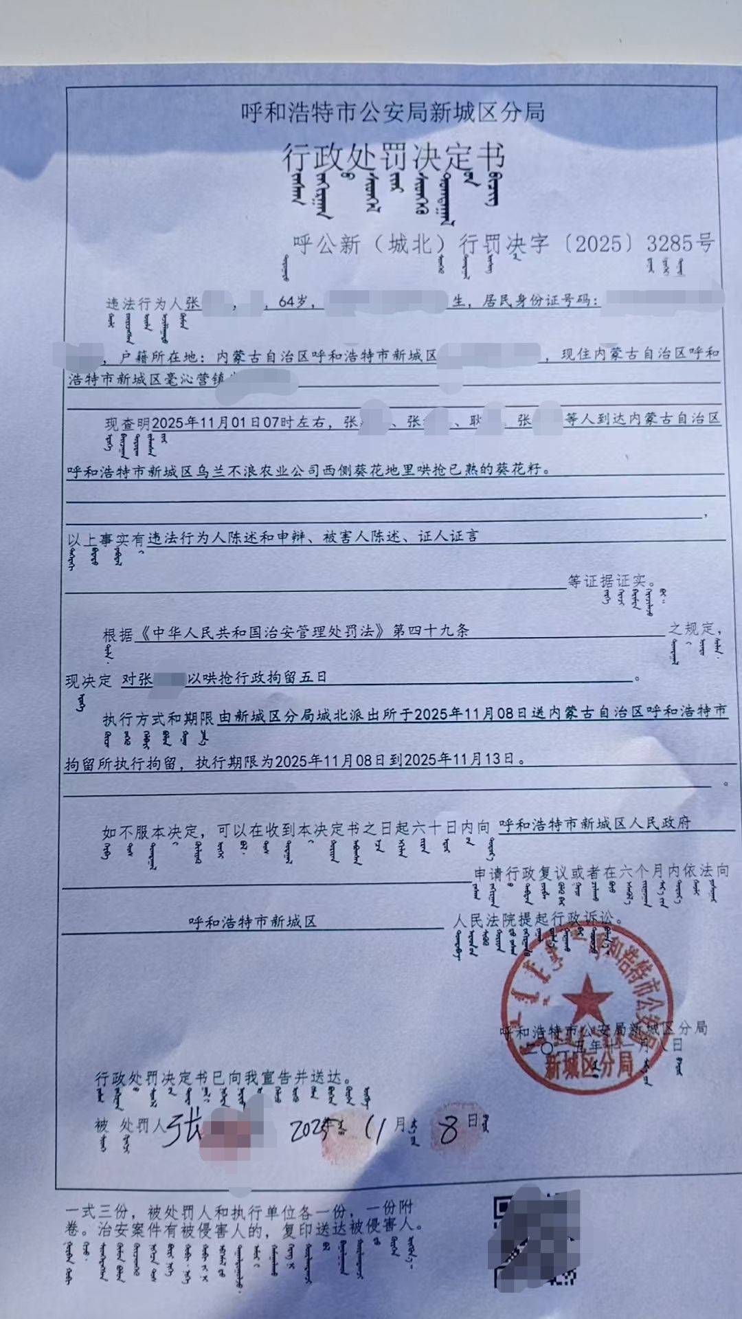 呼和浩特百亩向日葵被70多人哄抢？街道办：疑似缺少值守，被零星采摘发展到群体采摘