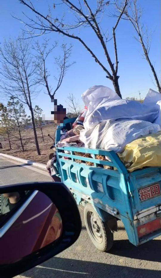 呼和浩特百亩向日葵被70多人哄抢？街道办：疑似缺少值守，被零星采摘发展到群体采摘