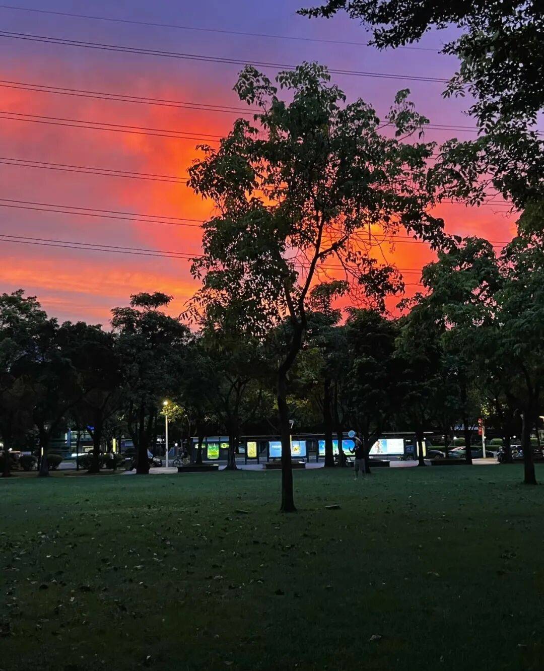 第一批丁克老后，“伴侣能陪一程，但最后都要靠自己”