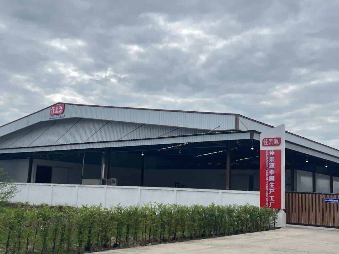 椰子水之外,大公司争夺40亿元生椰市场