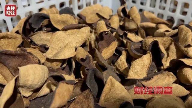 30天速成陈皮,成本仅70元,利润超成本10倍以上!央视起底陈皮跨省造假产业链