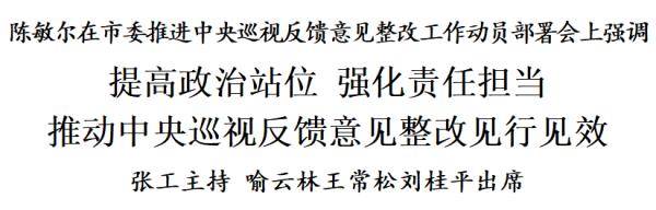 陈敏尔：提高政治站位，强化责任担当，推动中央巡视反馈意见整改见行见效