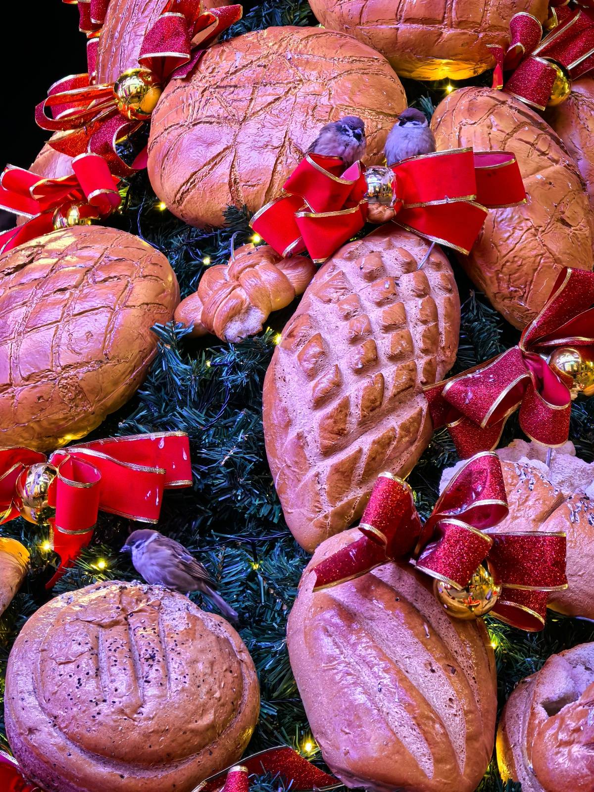 哈尔滨一大列巴面包树成麻雀过冬粮仓,设计师:一百多个面包做成,已有两年