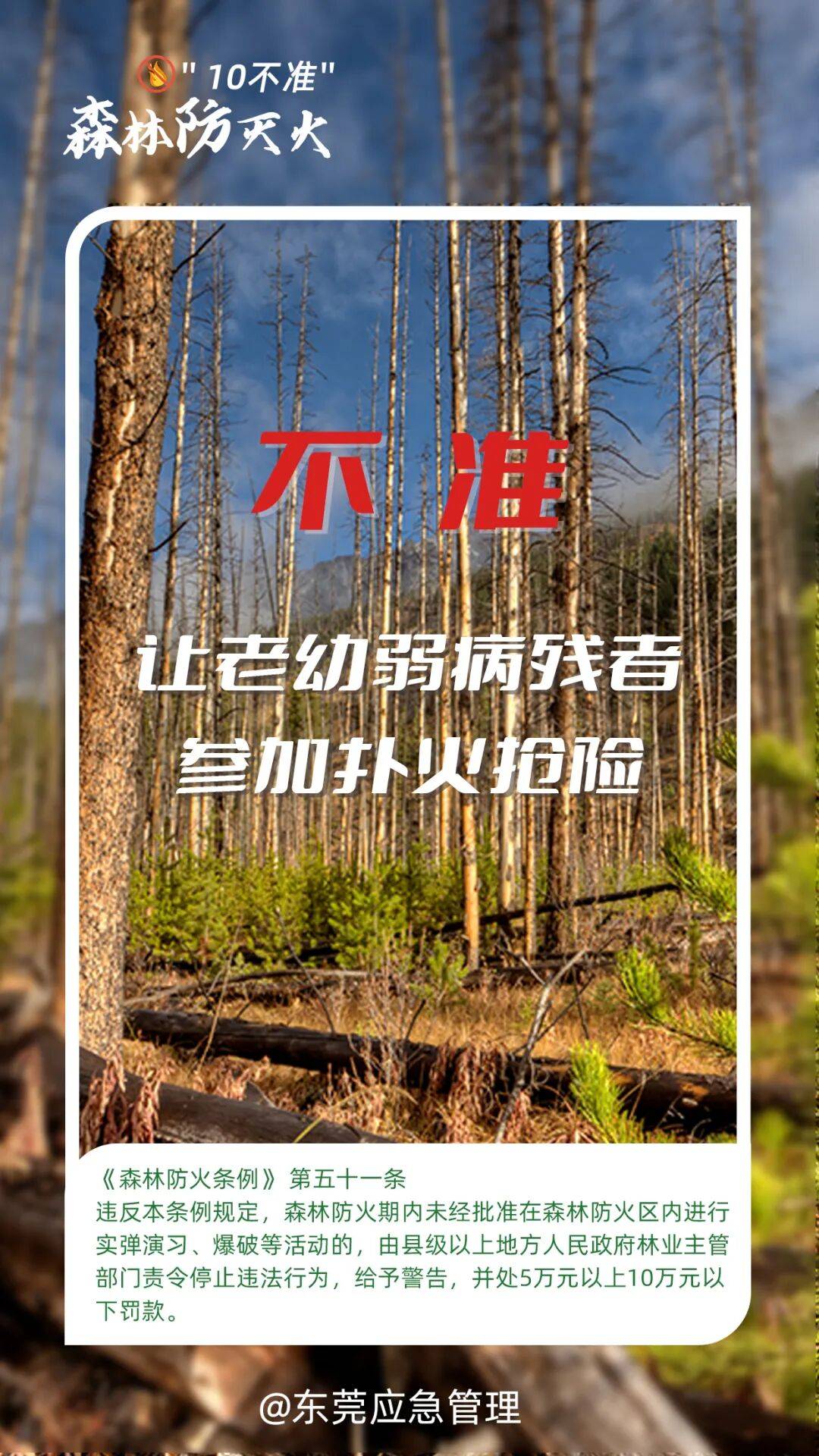 深圳坪山区突发山火，最新通报：明火已扑灭，无人员伤亡