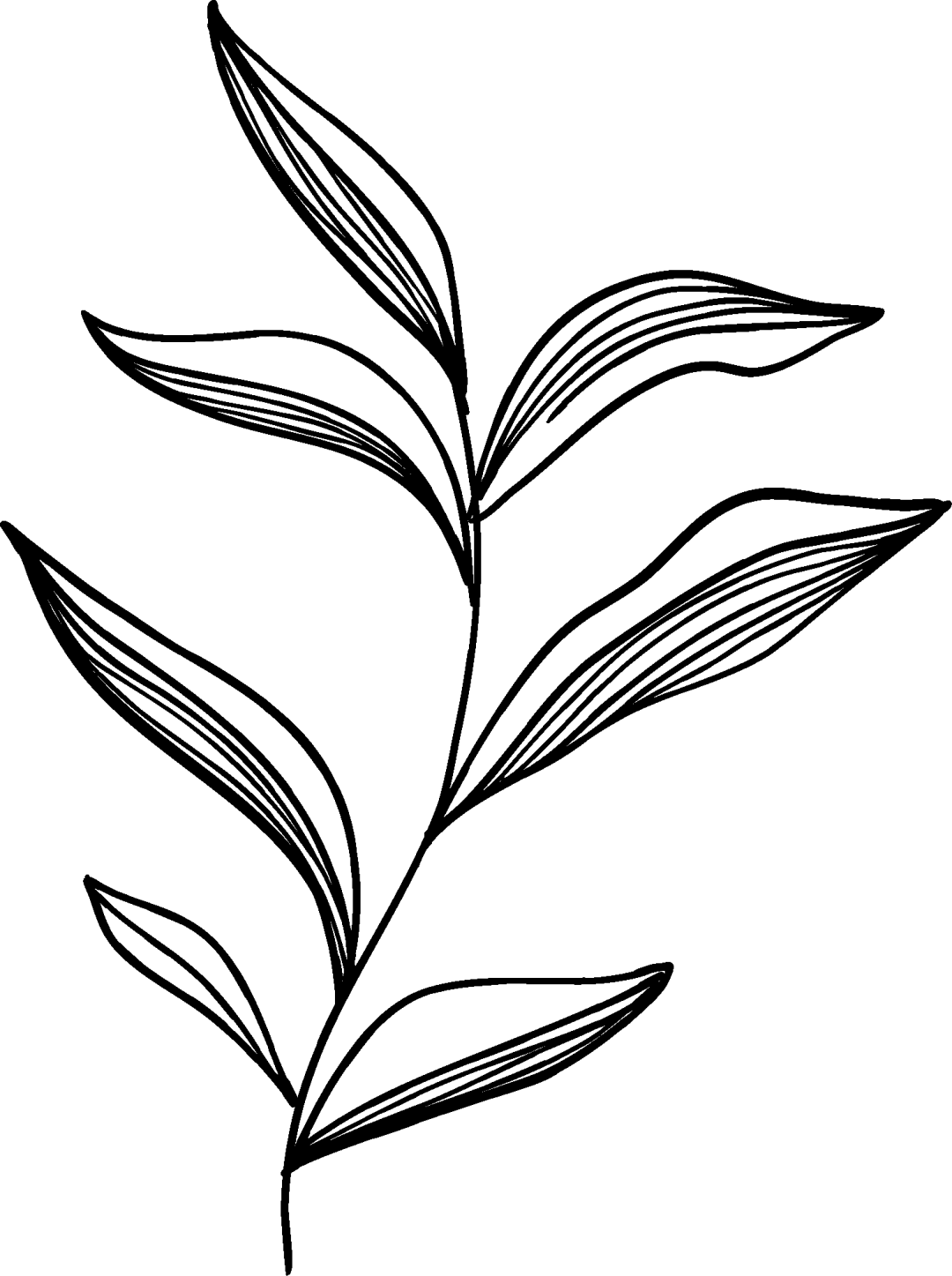 树山分馆限定 | 在竹林里，细品22支咖啡豆的“风味之书”