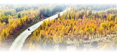 坚持“双碳”引领，推动全面绿色转型（稳中求进、提质增效 实现“十五五”良好开局）