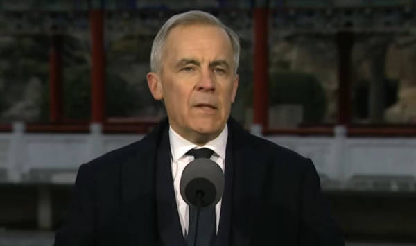 台北代表跳出来：中方不是加拿大解药，看看我们吧